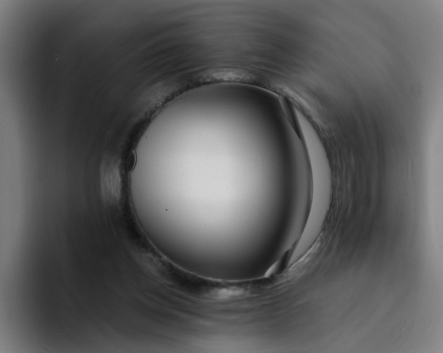 X0000094360158200711162057