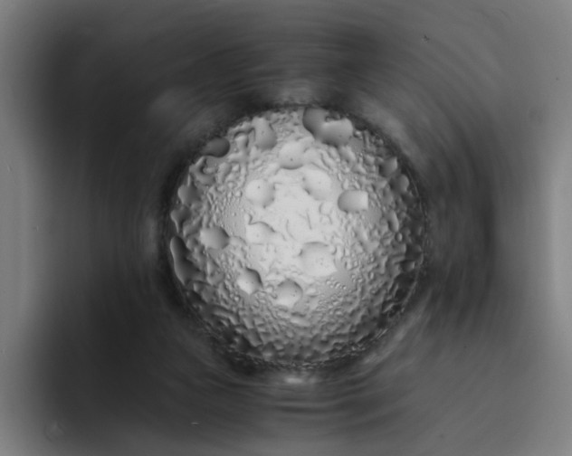 X0000094360161200711162057