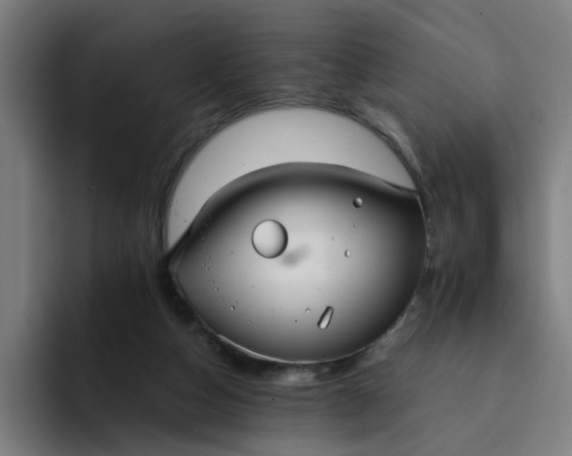 X0000094360162200711162057