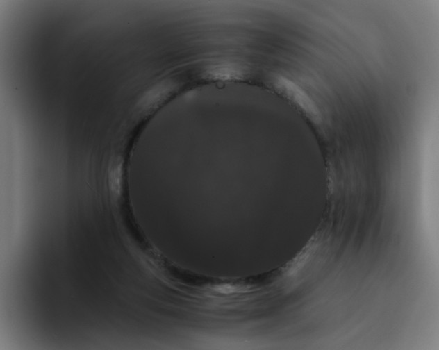 X0000094360163200711162057