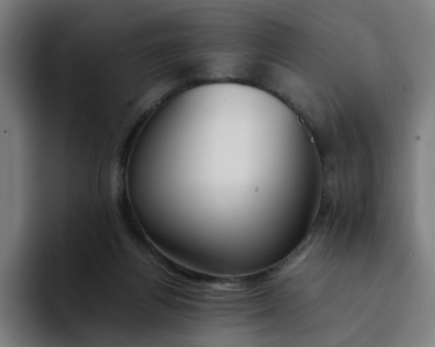 X0000094360164200711162057