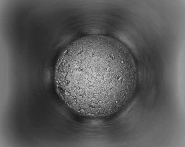 X0000094360165200711162057