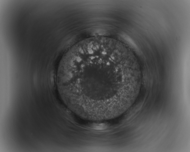 X0000094360169200711162058