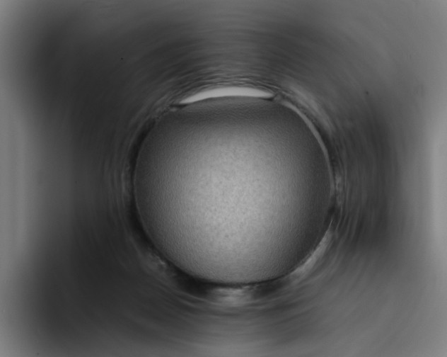 X0000094360170200711162058