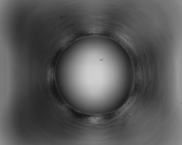 X0000094360172200711162058