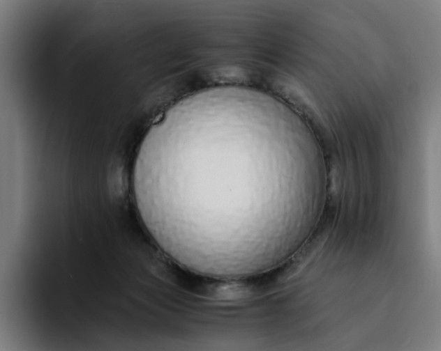 X0000094360173200711162058