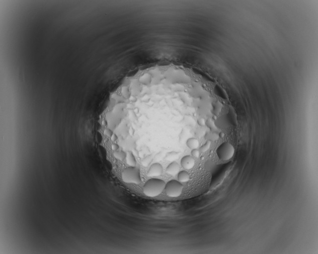 X0000094360175200711162058