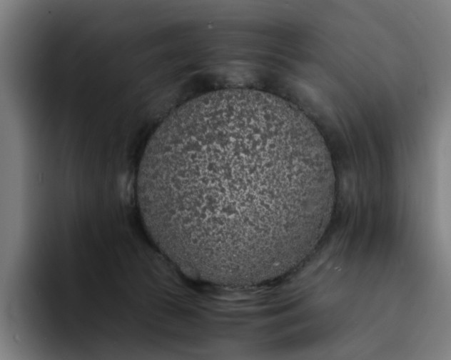 X0000094360177200711162058