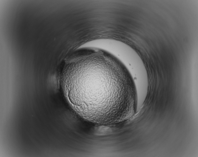 X0000094360180200711162058