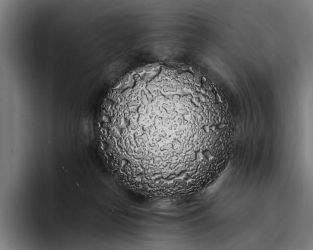 X0000094360182200711162058