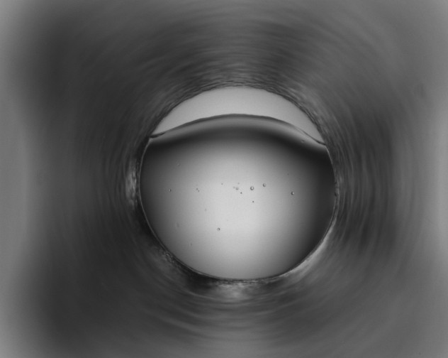 X0000094360190200711162058