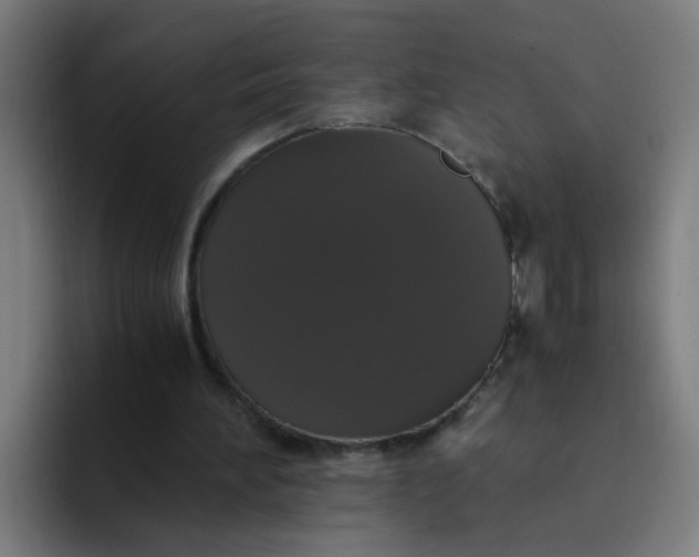 X0000094360196200711162057