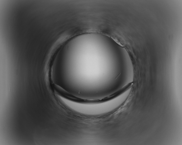 X0000094360197200711162057