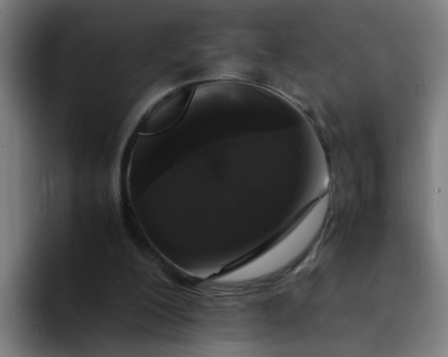 X0000094360200200711162057