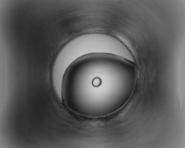 X0000094360201200711162057