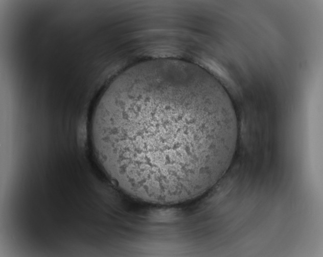 X0000094360202200711162057