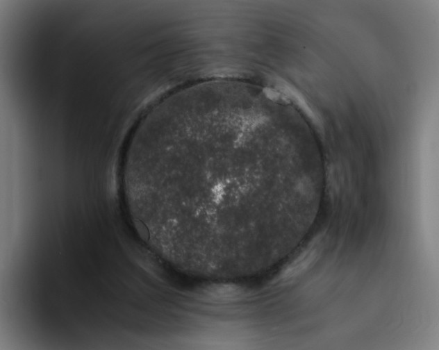 X0000094360203200711162057