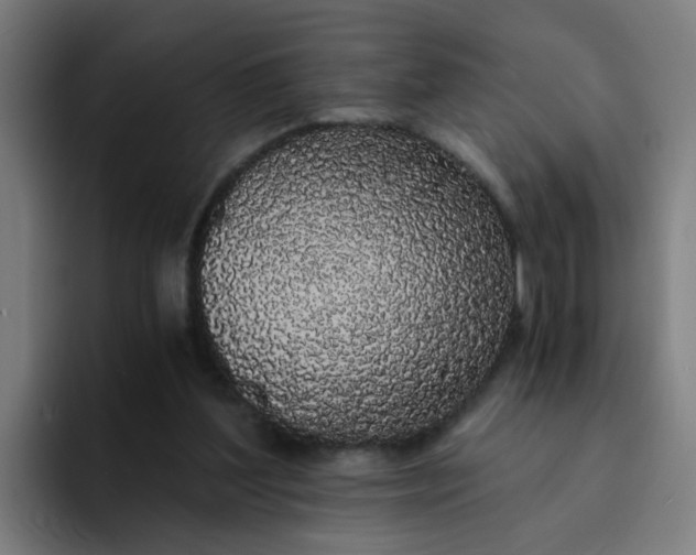 X0000094360204200711162057