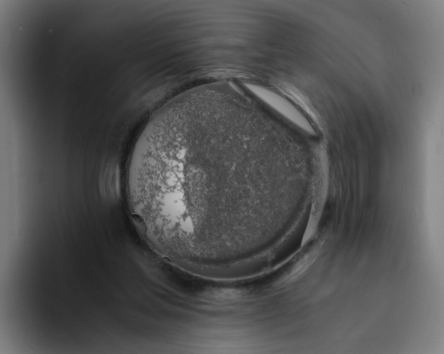 X0000094360205200711162057