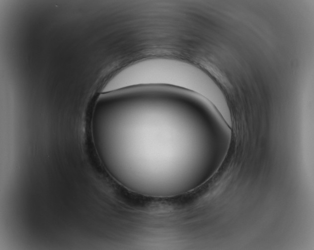 X0000094360207200711162057