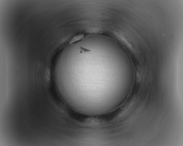 X0000094360211200711162057