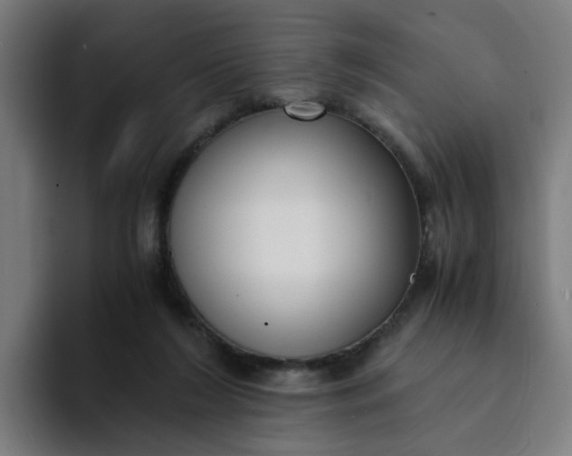 X0000094360212200711162057