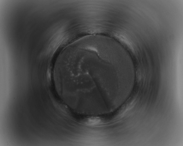 X0000094360214200711162057