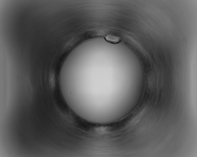 X0000094360216200711162057