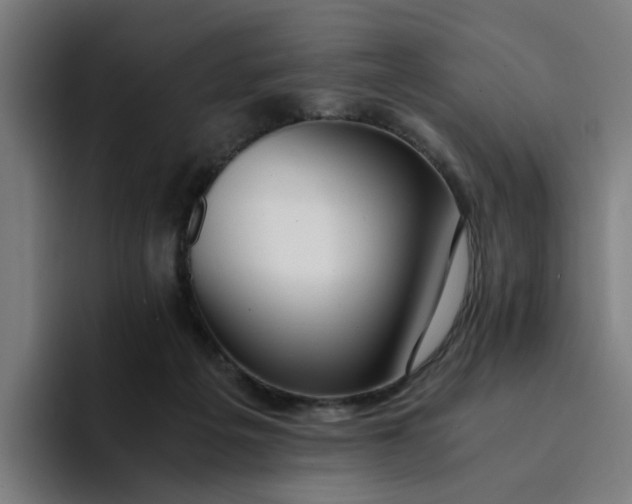 X0000094360217200711162057