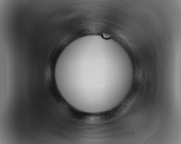 X0000094360220200711162057