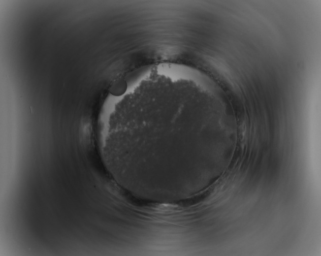 X0000094360222200711162057