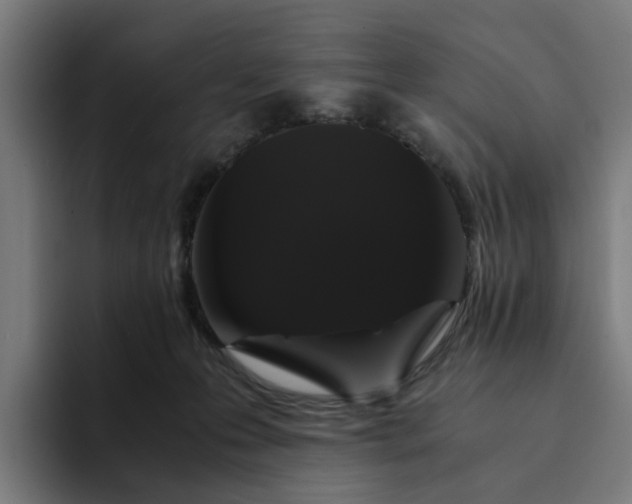 X0000094360223200711162057