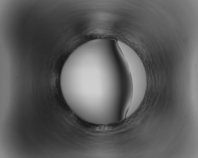 X0000094360225200711162057