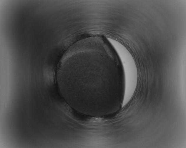 X0000094360227200711162057