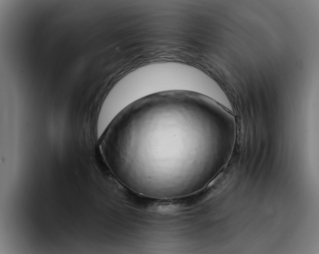 X0000094360228200711162057