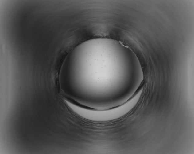 X0000094360229200711162057