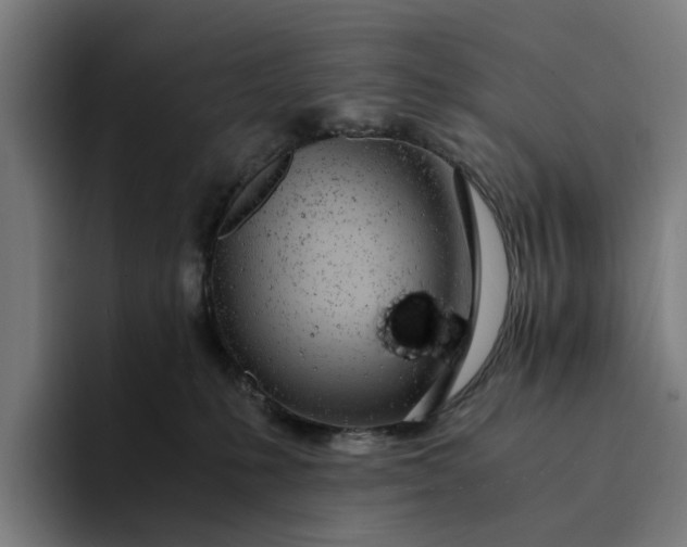 X0000094360231200711162057