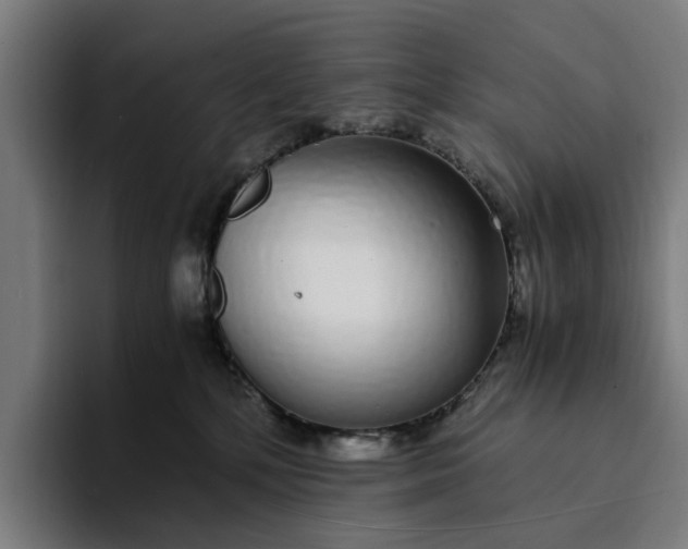 X0000094360232200711162057