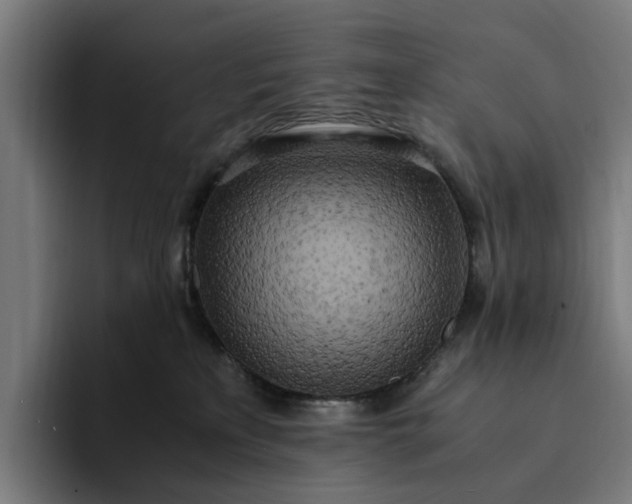 X0000094360233200711162056