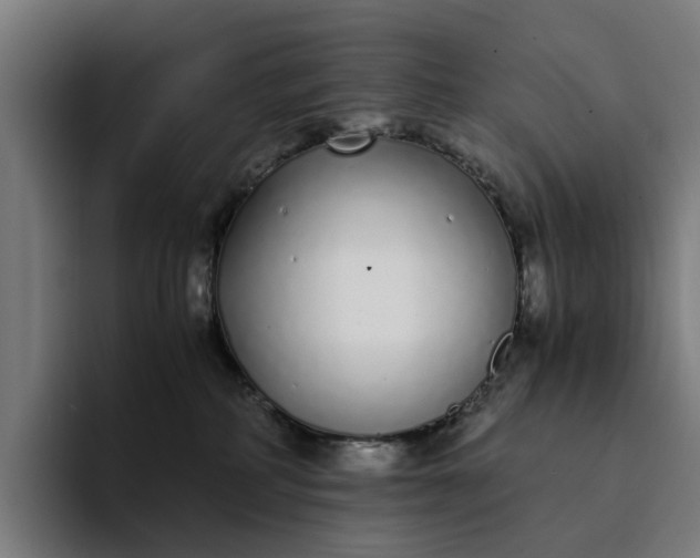 X0000094360234200711162056