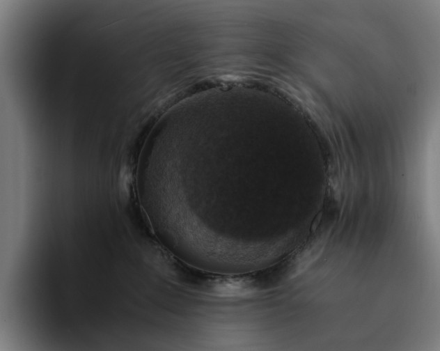 X0000094360235200711162056