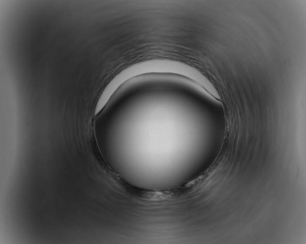 X0000094360239200711162056