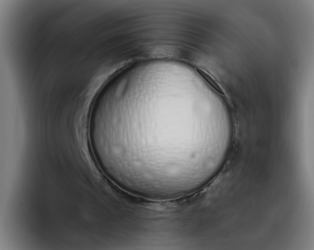 X0000094360241200711162056