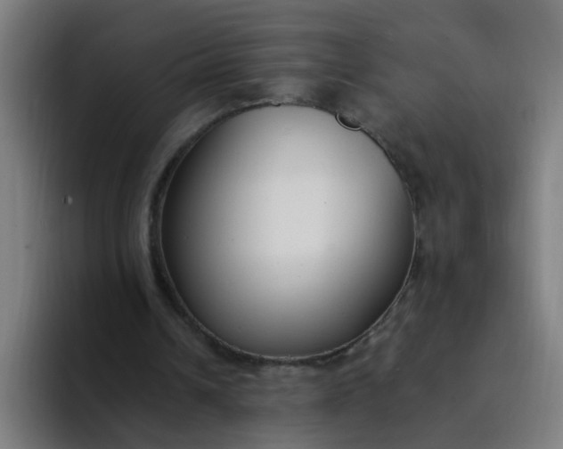 X0000094360242200711162056