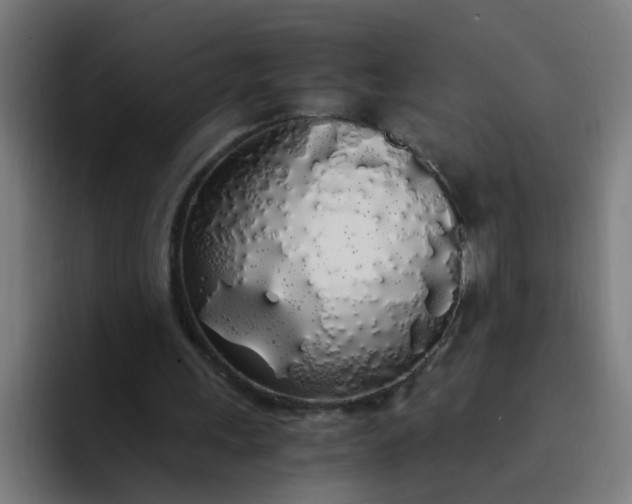 X0000094360243200711162056