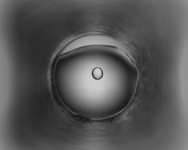 X0000094360244200711162056