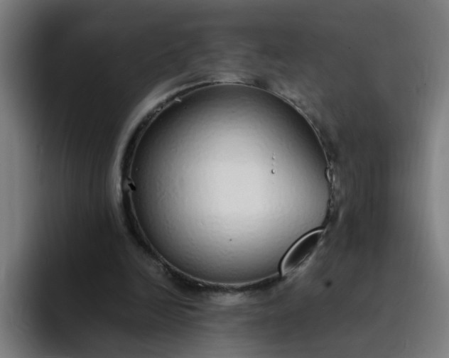 X0000094360246200711162056