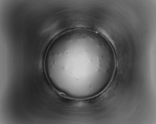 X0000094360249200711162056