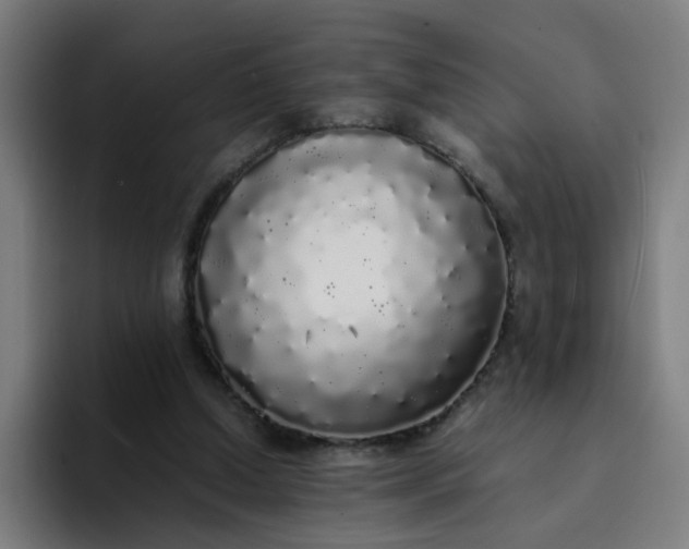 X0000094360250200711162056