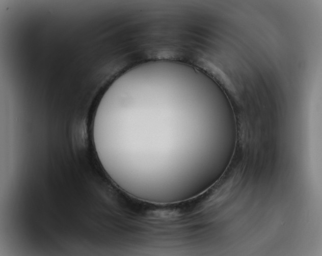 X0000094360251200711162056